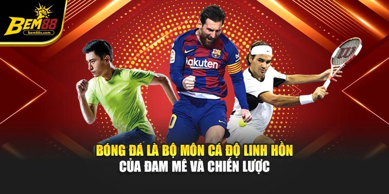 Bóng đá là bộ môn cá độ linh hồn của đam mê và chiến lược