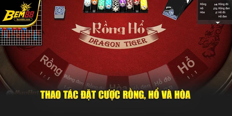 Thao tác đặt cược rồng, hổ và hòa