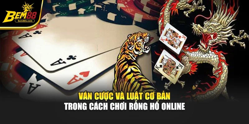 Ván cược và luật cơ bản trong cách chơi rồng hổ online